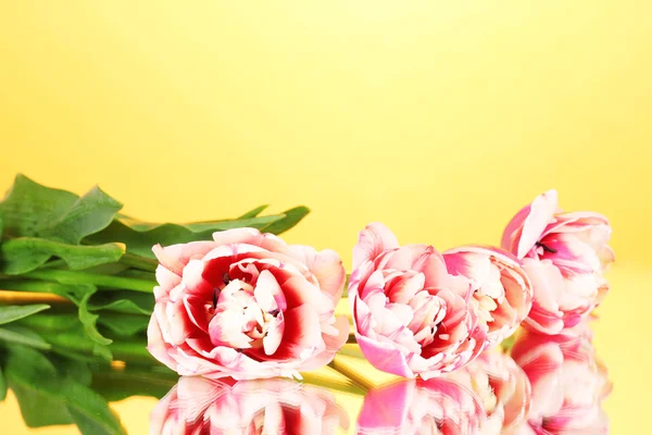 Beautiful tulips on yellow background — Stock Photo, Image
