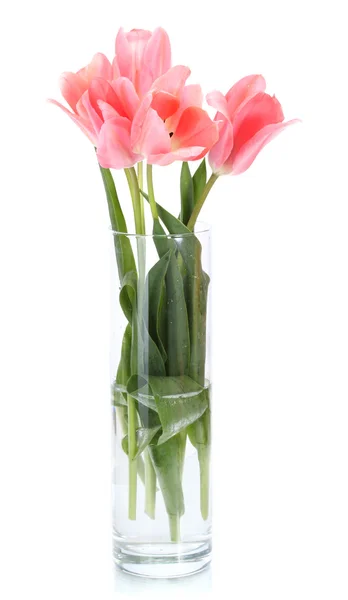 Krásné růžové tulipány v skleněná váza izolované na bílém — Stock fotografie