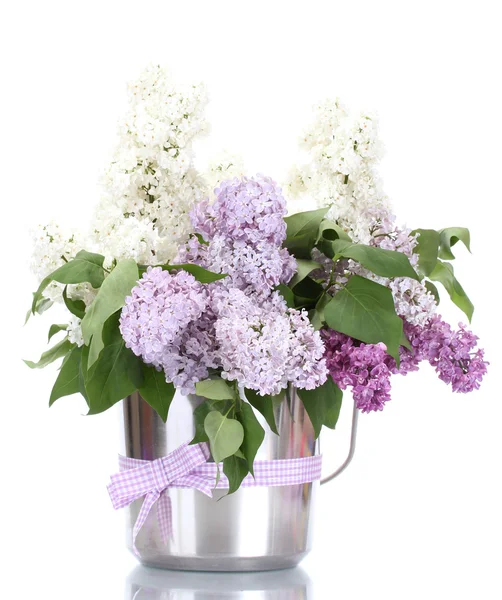 Mooie lila bloemen in metalen emmer geïsoleerd op wit — Stockfoto