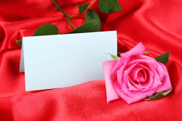 Bella rosa su panno rosso — Foto Stock