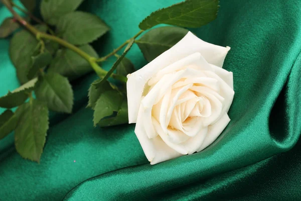 Όμορφο τριαντάφυλλο σε πράσινο ύφασμα — Φωτογραφία Αρχείου