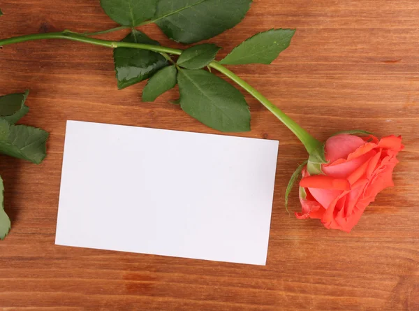 Beautiful rose on wooden background — Stock Photo, Image