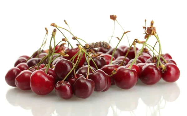 Ripe cherry berries isolated on white — Stock Photo, Image