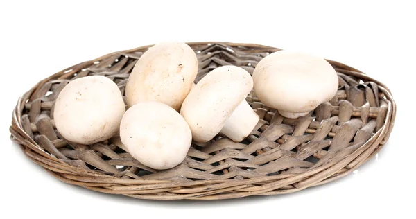 Verse champignons geïsoleerd op wit — Stockfoto
