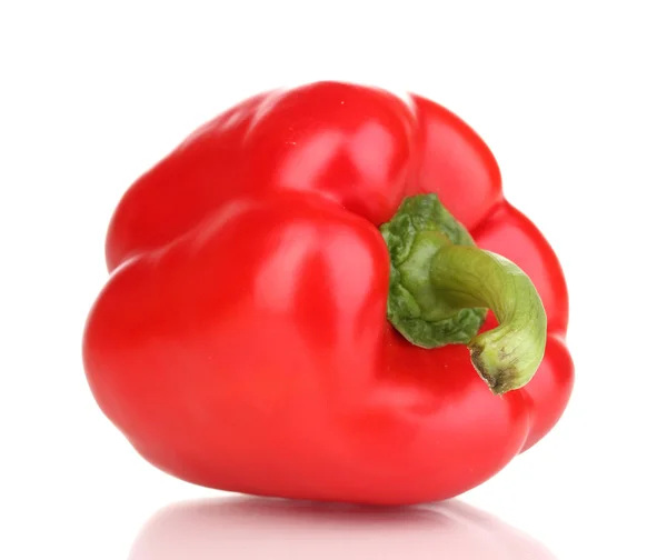 Smakelijke peper geïsoleerd op wit — Stockfoto