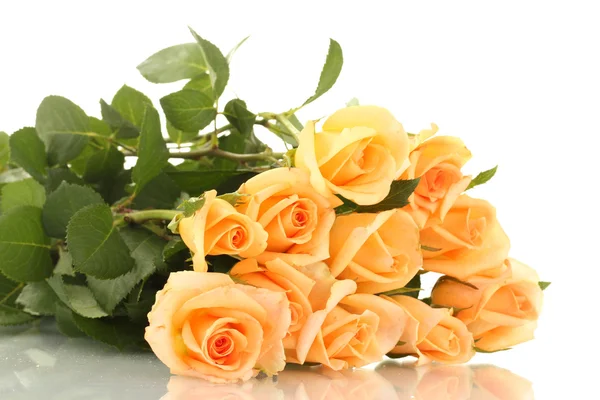 Красивий букет з троянд ізольований на білому — стокове фото