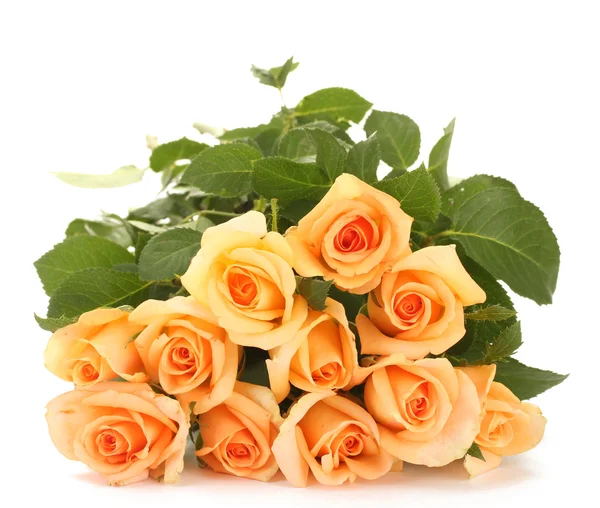 Όμορφο μπουκέτο τριαντάφυλλα που απομονώνονται σε λευκό — Φωτογραφία Αρχείου