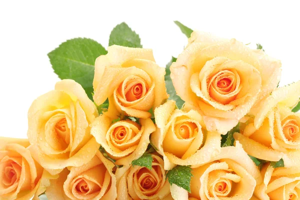 Όμορφο μπουκέτο τριαντάφυλλα που απομονώνονται σε λευκό — Φωτογραφία Αρχείου