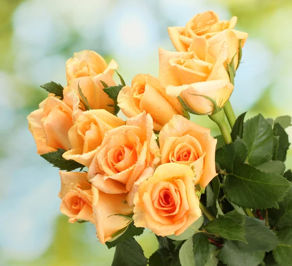 Όμορφη ανθοδέσμη με τριαντάφυλλα σε πράσινο φόντο — Φωτογραφία Αρχείου