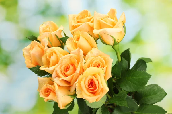 Piękny bukiet róż na zielonym tle — Zdjęcie stockowe