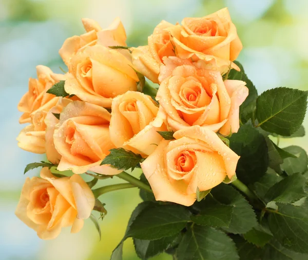 Bellissimo bouquet di rose su sfondo verde — Foto Stock