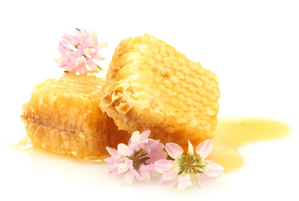 Gyllene honungskakor med honung och blommor isolerad på vit — Stockfoto