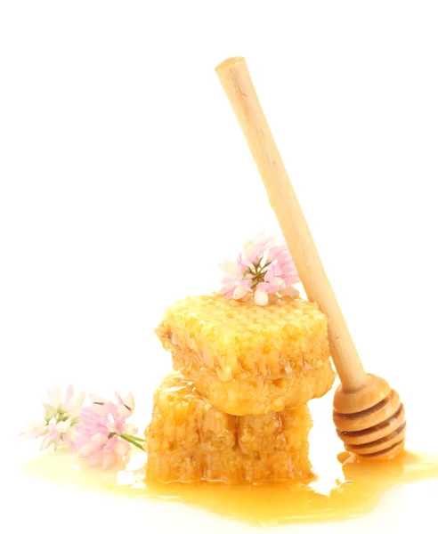 Goldene Waben, Wildblumen und hölzerner Nieselregen mit Honig isoliert auf weiß — Stockfoto
