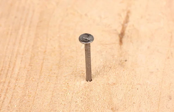 Металлический гвоздь в деревянной доске — стоковое фото