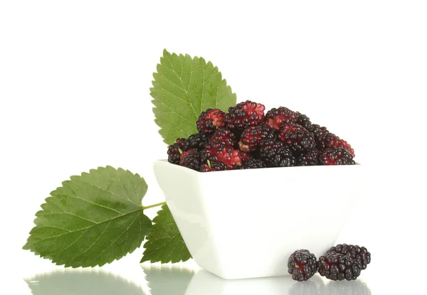 White bowl with ripe mulberries isolated on white — Stockfoto