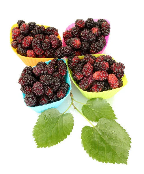 Vier felle silicone scharen met rijpe mulberry geïsoleerd op wit — Stockfoto