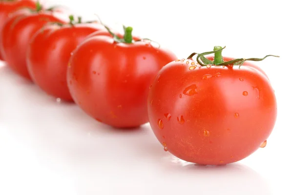 Tomates fraîches isolées sur blanc — Photo