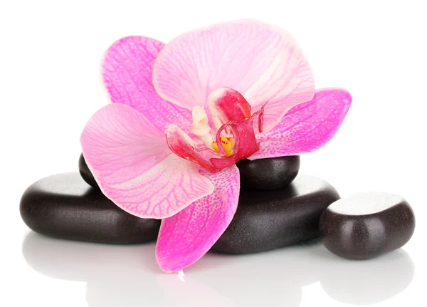 Spa stones with orchid flower isolated on white — Stock Photo, Image