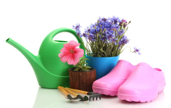 Gieter, galoshes, tools en planten in bloempot geïsoleerd op wit — Stockfoto
