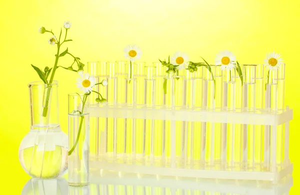 Test tüpleri ile şeffaf bir çözüm ve bitki üzerinde sarı arka plan yakın çekim — Stok fotoğraf
