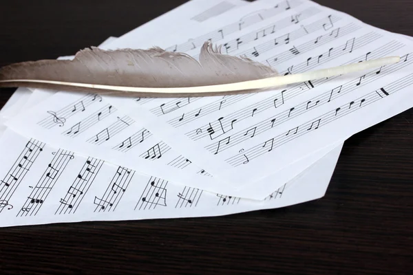 Musical notes and feather on wooden table — Stock Photo, Image
