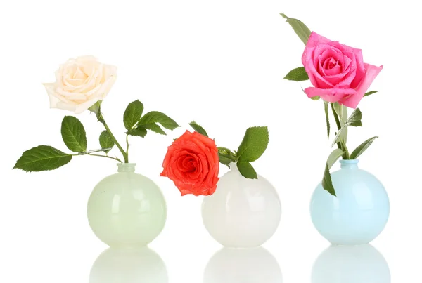 Beautiful roses in vases isolated on white — Stock Photo, Image