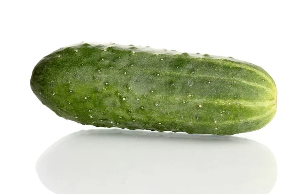 Komkommer geïsoleerd op wit — Stockfoto