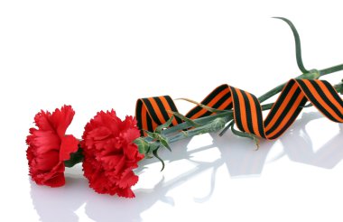 Carnations and St. George's ribbon isolated on white clipart