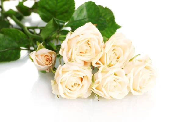 Ramo de rosas blancas aisladas en blanco — Foto de Stock