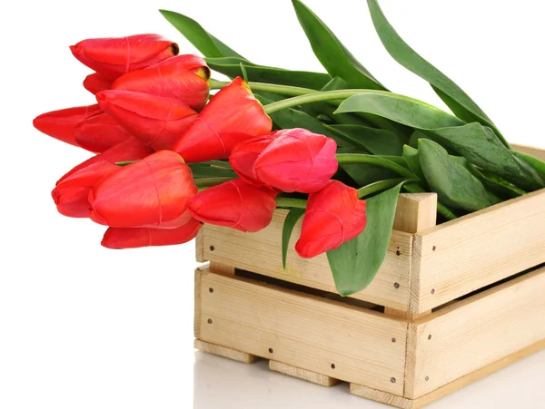 Krásné tulipány v bedně izolovaných na bílém — Stock fotografie