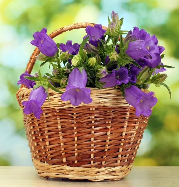 Blue bell flowers in basket on wooden table on green background — Stock Photo, Image