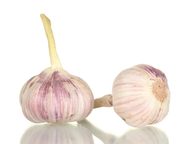 Young garlic isolated on white background — Stock Photo, Image