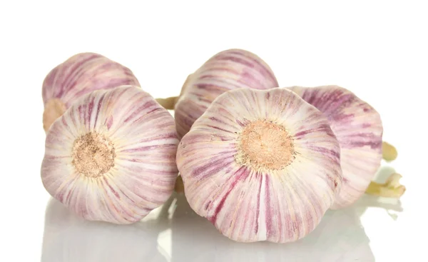 stock image Young garlic isolated on white background