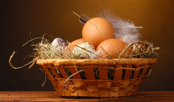 Huevos de pollo y codorniz en un nido sobre una mesa de madera sobre fondo marrón —  Fotos de Stock