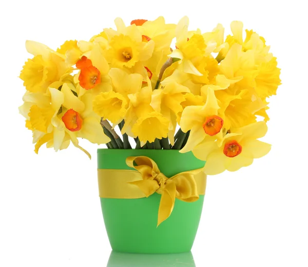 Vackra gula påskliljor i blomkruka isolerad på vit — Stockfoto
