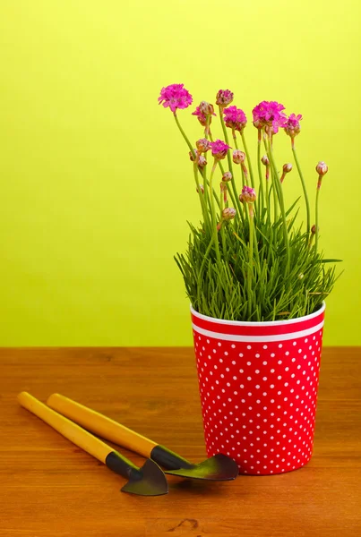 Różowe kwiaty w puli instrumentów Stół drewniany na zielonym tle — Zdjęcie stockowe