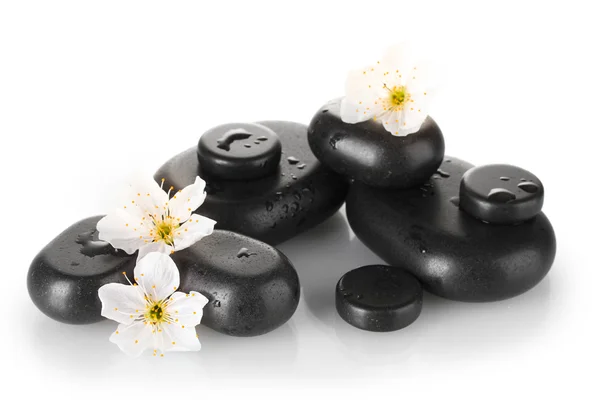 꽃과 꽃잎 흰색 클로즈업에 고립 된 블랙 스파 돌 — 스톡 사진