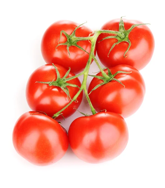 Färska tomater på gren isolerad på vit — Stockfoto