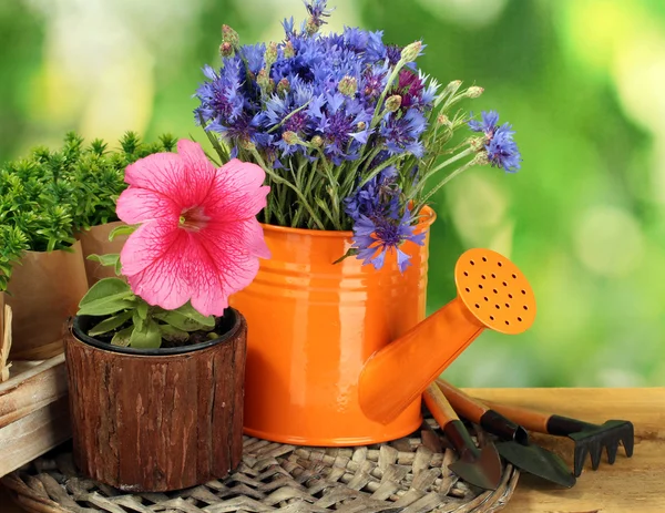 Arrosoir, outils et fleurs sur table en bois sur fond vert — Photo