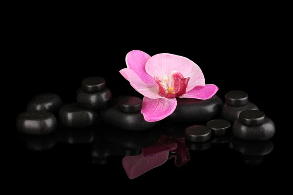 Wellness-Steine mit Orchideenblüte isoliert auf schwarz — Stockfoto