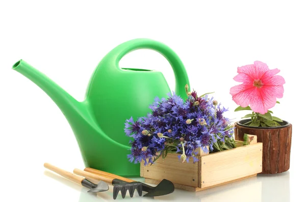 Watering can, tools and flowers isolated on white — Stock Photo, Image