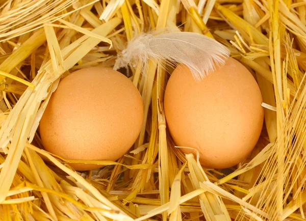 Huevos marrones en un nido de paja de cerca — Foto de Stock