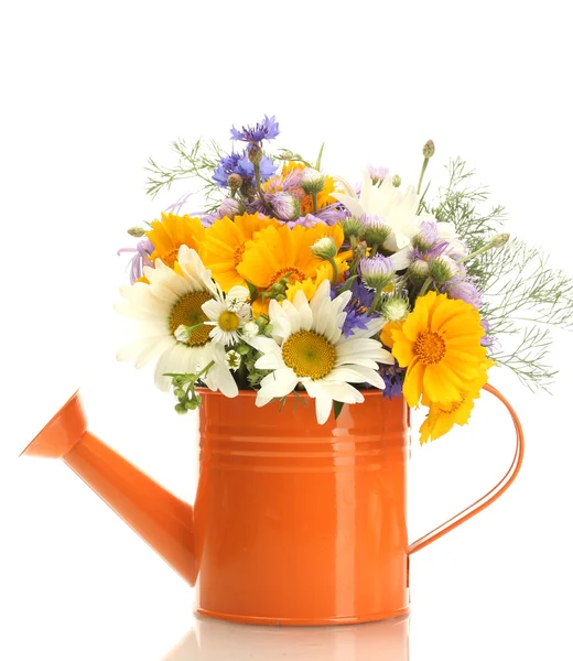 Beautiful bouquet of bright wildflowers in watering can, isolated on white — Stock Photo, Image