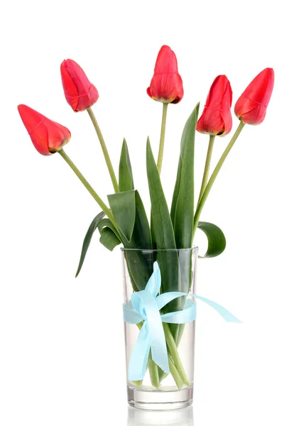 Beautiful tulips in vase isolated on white — Stock Photo, Image
