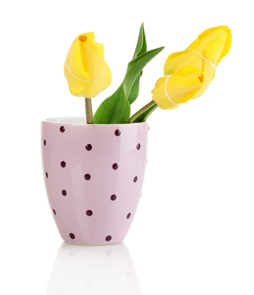 Beautiful tulips in pot isolated on white — Stock Photo, Image