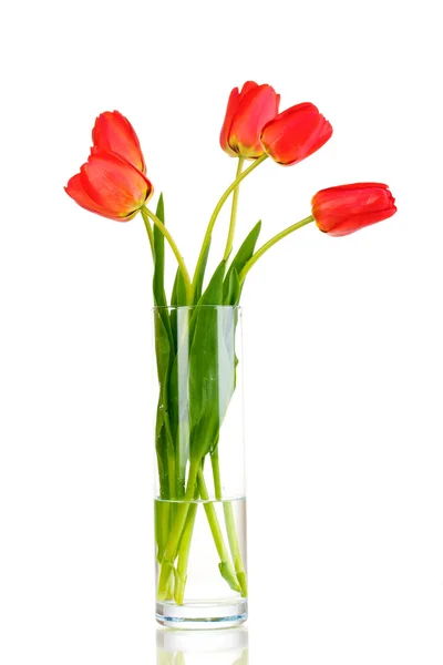 Piękne tulipany w wazonie na białym tle — Zdjęcie stockowe