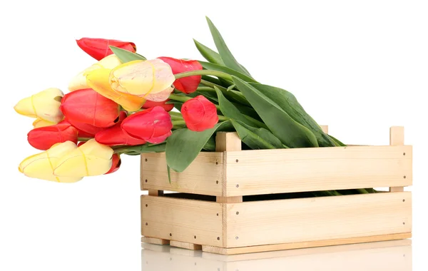 Belles tulipes dans une caisse isolée sur blanc — Photo