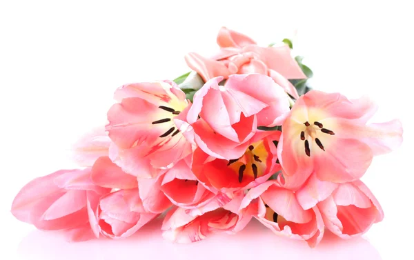 美丽的粉红郁金香在白色上被隔离 — 图库照片