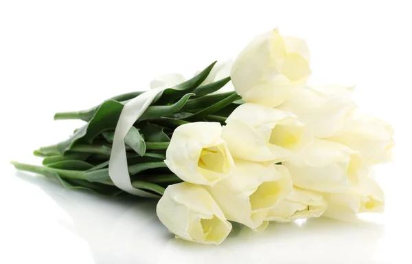 Vackra tulpaner isolerad på vit — Stockfoto