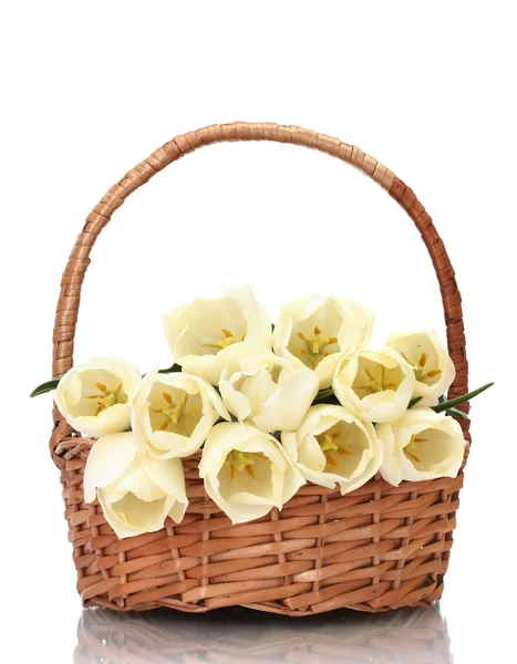 Vackra tulpaner i korg isolerad på vit — Stockfoto